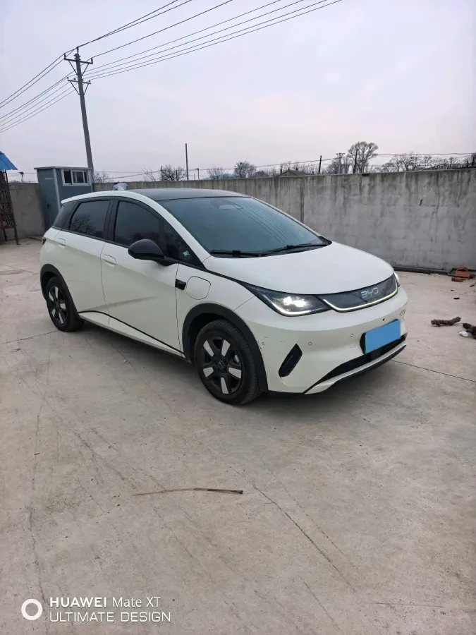2025 BYD Dolphin BEV 45.12KWH,autocango,china used car exporter,china ev exporter,chinese used car exporter,chinese used ev exporter