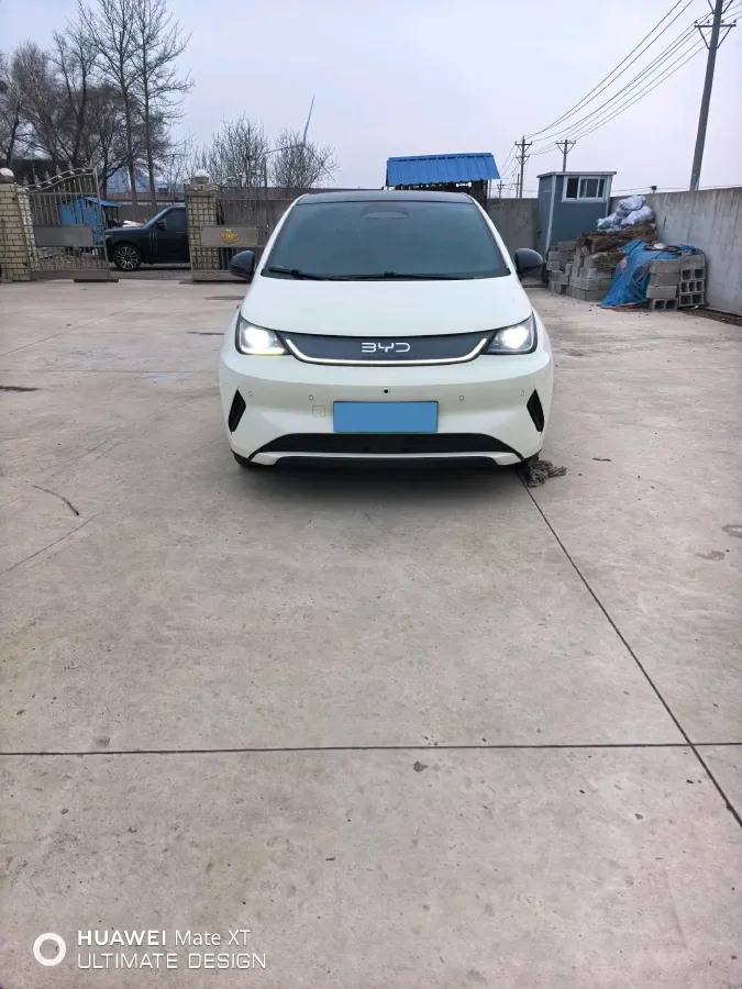 2025 BYD Dolphin BEV 45.12KWH,autocango,china used car exporter,china ev exporter,chinese used car exporter,chinese used ev exporter