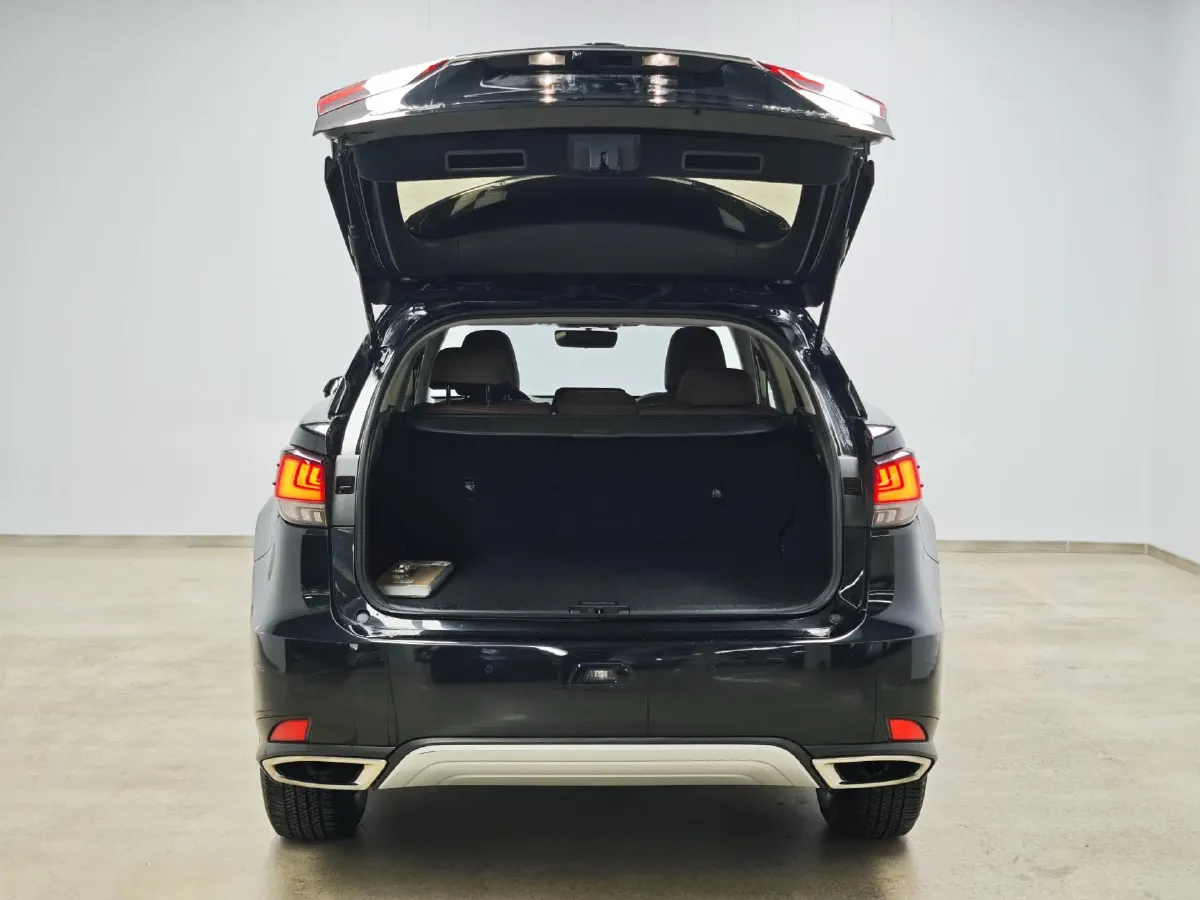 2020 Lexus RX 2.0T 238HP L4 6AT,autocango,china used car exporter,china ev exporter,chinese used car exporter,chinese used ev exporter