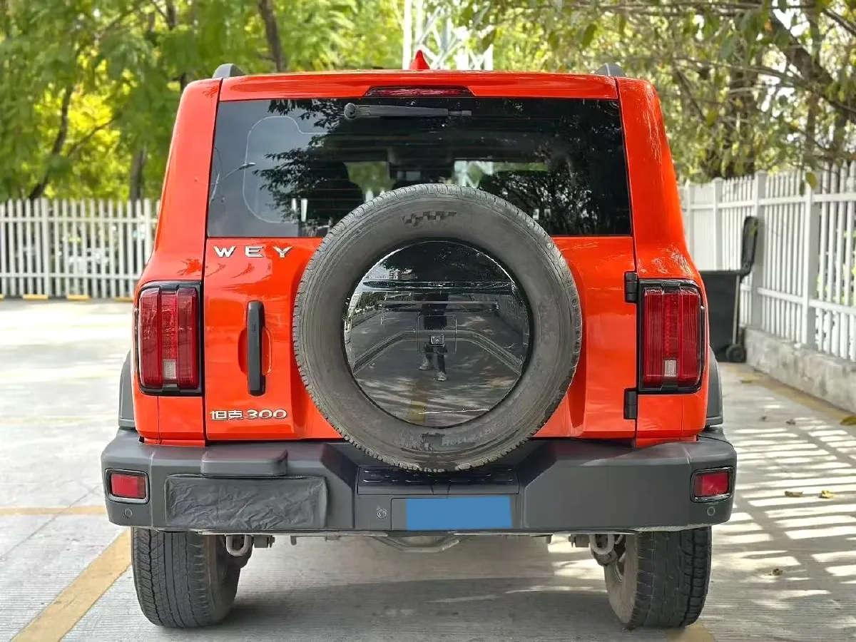 2021 Tank 300 2.0T 227HP L4 8AT,autocango,china used car exporter,china ev exporter,chinese used car exporter,chinese used ev exporter