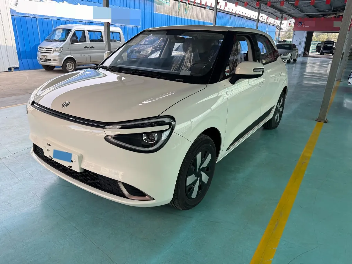 2024 DongFeng eπ 01 BEV 31.45KWH,autocango,china used car exporter,china ev exporter,chinese used car exporter,chinese used ev exporter