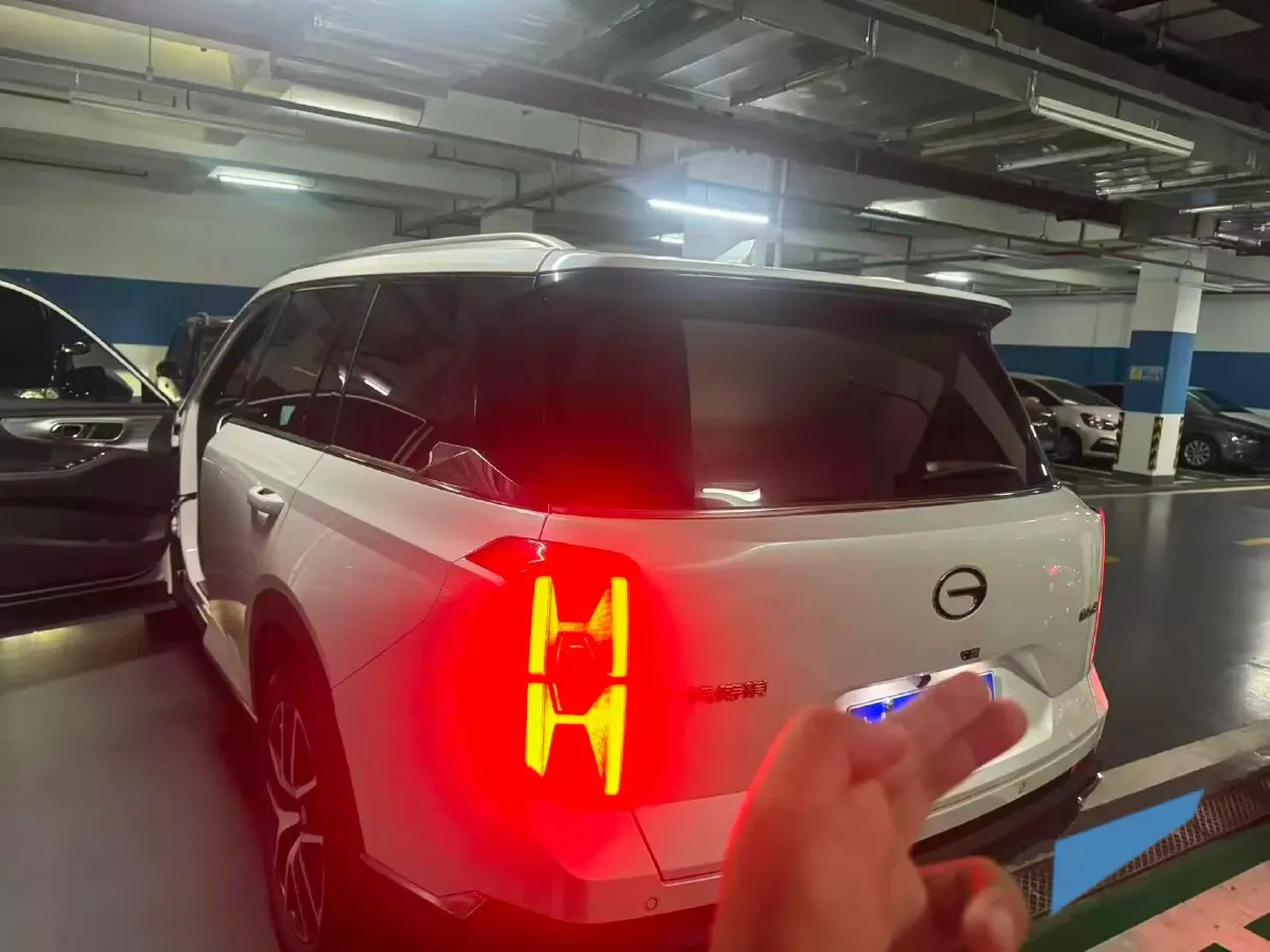 2024 GAC Trumpchi GS8 2.0T 252HP L4 8AT,autocango,china used car exporter,china ev exporter,chinese used car exporter,chinese used ev exporter