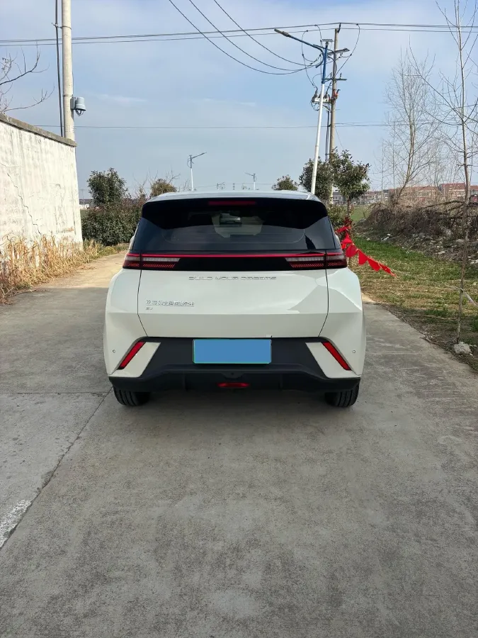 2024 BYD Seagull BEV 30.08KWH,autocango,china used car exporter,china ev exporter,chinese used car exporter,chinese used ev exporter