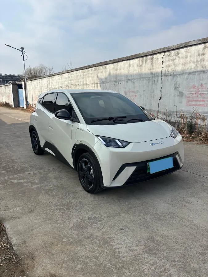2024 BYD Seagull BEV 30.08KWH,autocango,china used car exporter,china ev exporter,chinese used car exporter,chinese used ev exporter