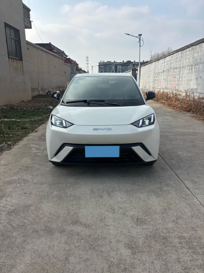 2024 BYD Seagull BEV 30.08KWH,autocango,china used car exporter,china ev exporter,chinese used car exporter,chinese used ev exporter