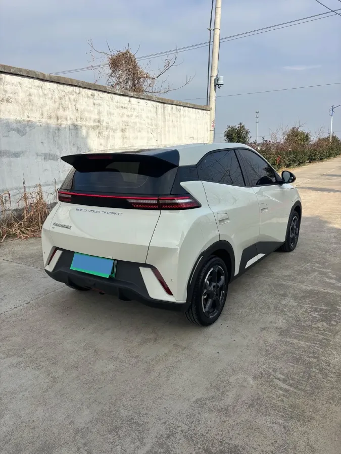 2024 BYD Seagull BEV 30.08KWH,autocango,china used car exporter,china ev exporter,chinese used car exporter,chinese used ev exporter