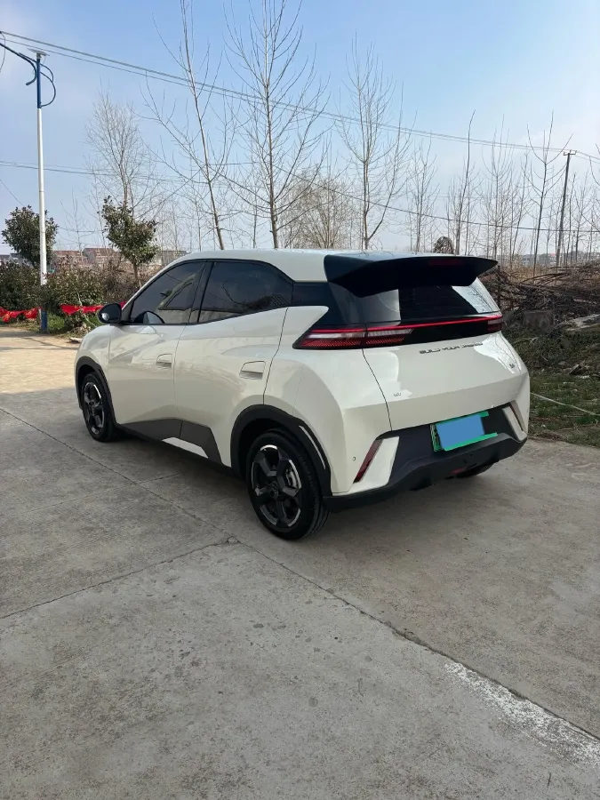 2024 BYD Seagull BEV 30.08KWH,autocango,china used car exporter,china ev exporter,chinese used car exporter,chinese used ev exporter