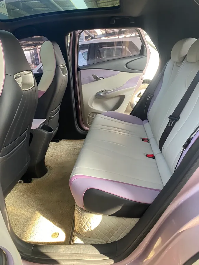 2021 BYD Yuan Pro BEV 50.1KWH,autocango,china used car exporter,china ev exporter,chinese used car exporter,chinese used ev exporter