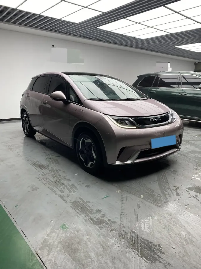 2021 BYD Yuan Pro BEV 50.1KWH,autocango,china used car exporter,china ev exporter,chinese used car exporter,chinese used ev exporter