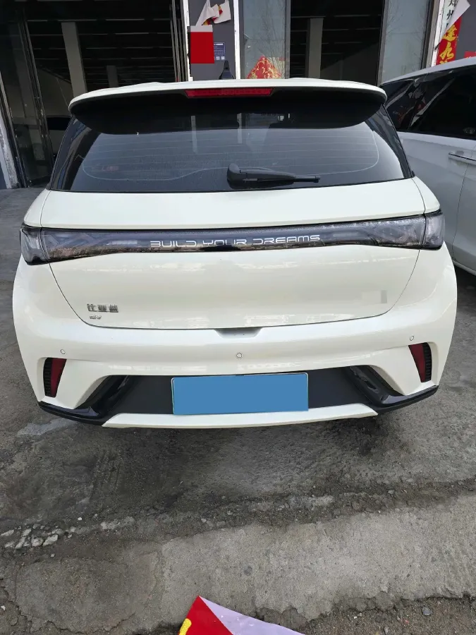 2025 BYD Dolphin BEV 44.928KWH,autocango,china used car exporter,china ev exporter,chinese used car exporter,chinese used ev exporter