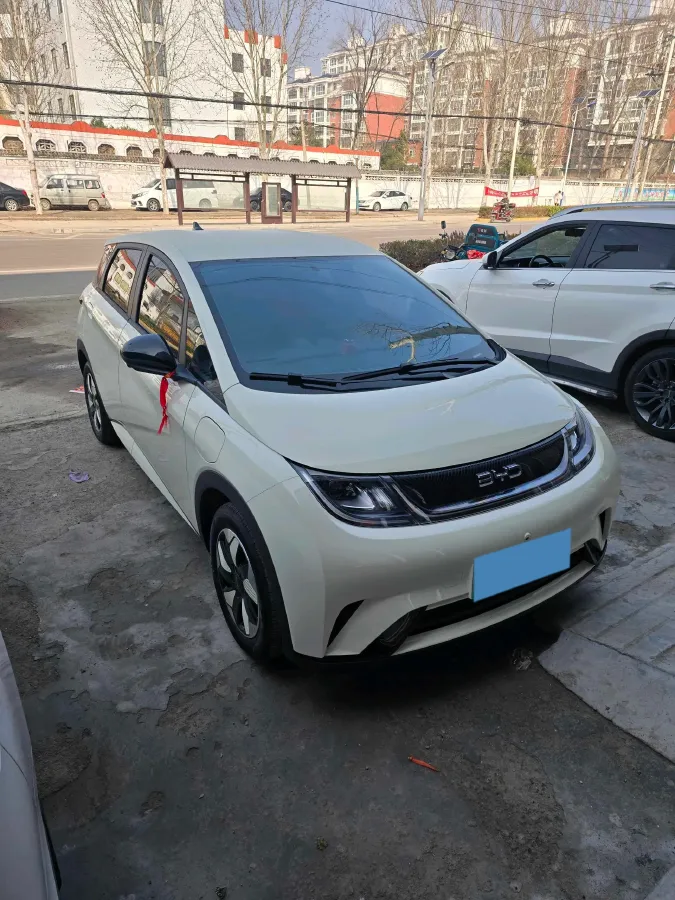 2025 BYD Dolphin BEV 44.928KWH,autocango,china used car exporter,china ev exporter,chinese used car exporter,chinese used ev exporter