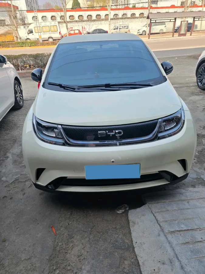 2025 BYD Dolphin BEV 44.928KWH,autocango,china used car exporter,china ev exporter,chinese used car exporter,chinese used ev exporter