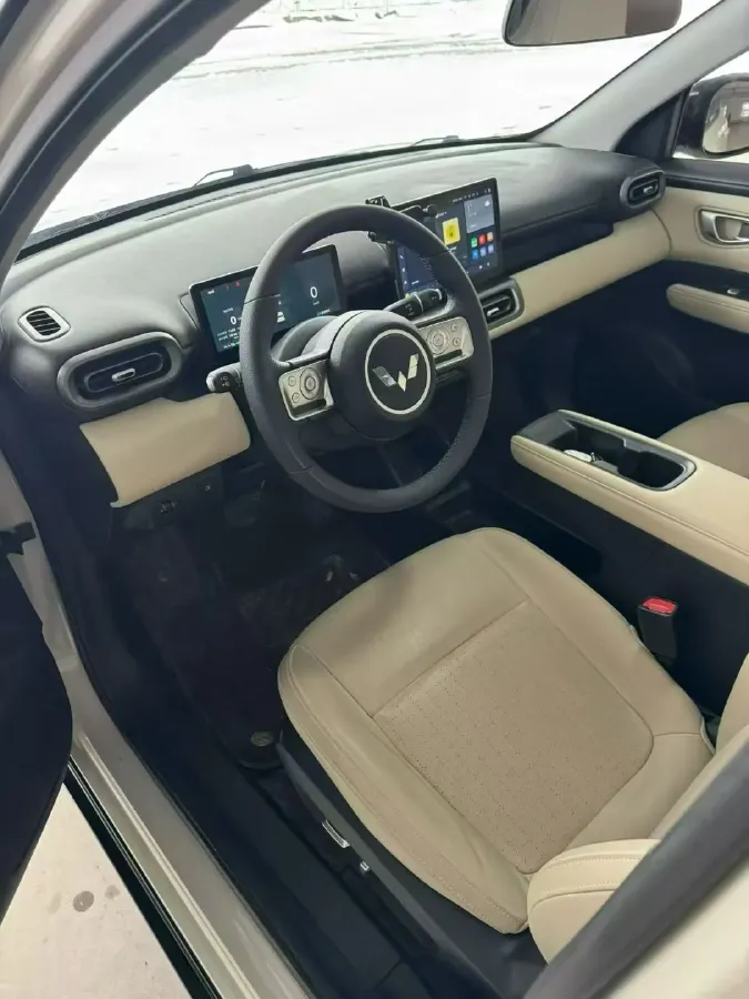 2024 WuLing BinGuoPLUS BEV 31.9KWH,autocango,china used car exporter,china ev exporter,chinese used car exporter,chinese used ev exporter