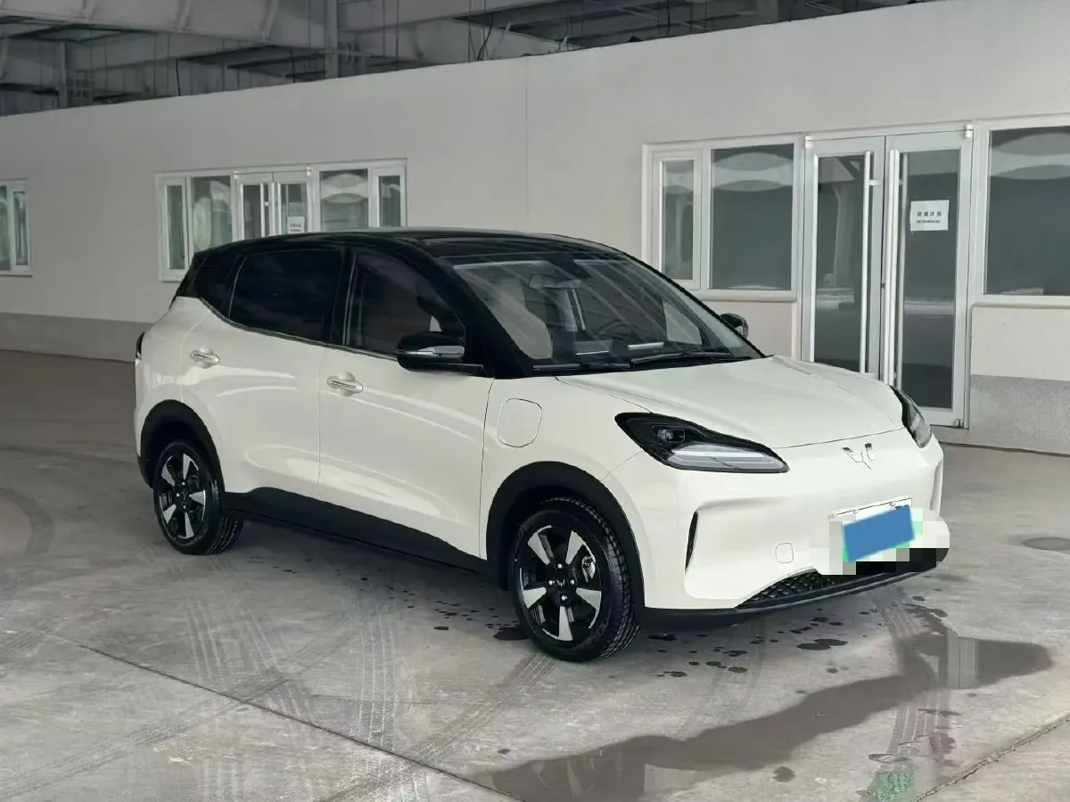 2024 WuLing BinGuoPLUS BEV 31.9KWH,autocango,china used car exporter,china ev exporter,chinese used car exporter,chinese used ev exporter
