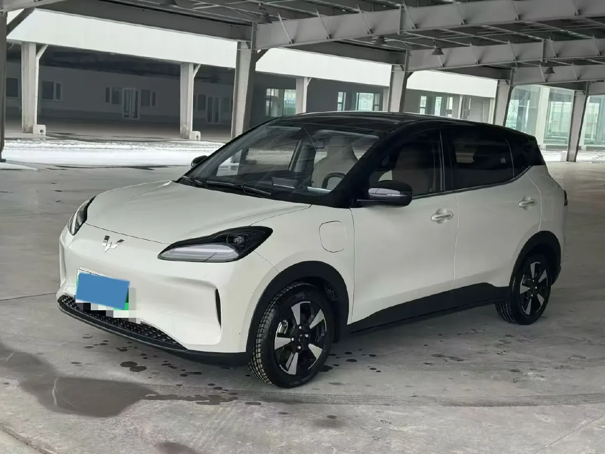 2024 WuLing BinGuoPLUS BEV 31.9KWH,autocango,china used car exporter,china ev exporter,chinese used car exporter,chinese used ev exporter