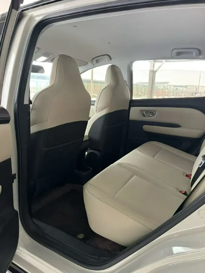 2024 WuLing BinGuoPLUS BEV 31.9KWH,autocango,china used car exporter,china ev exporter,chinese used car exporter,chinese used ev exporter