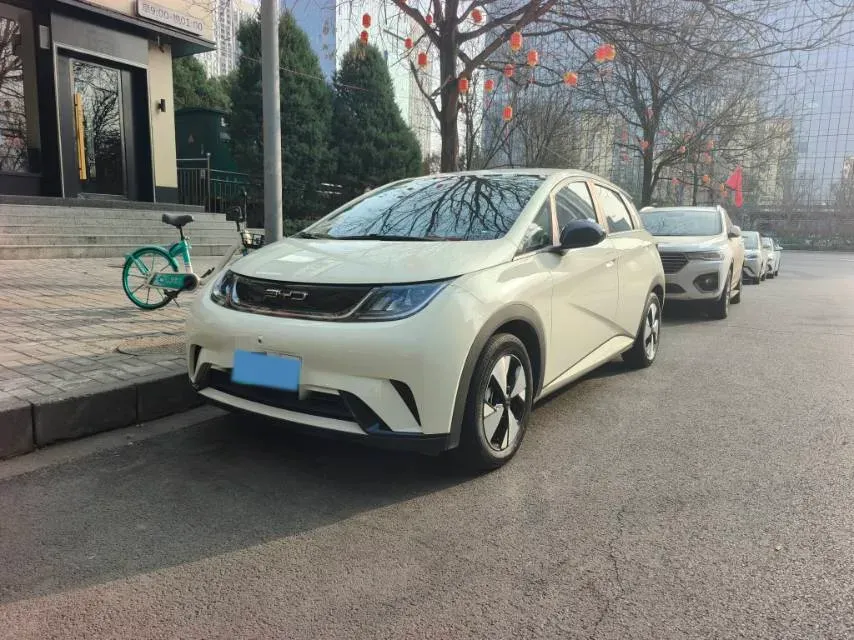 2023 BYD Dolphin BEV 44.928KWH,autocango,china used car exporter,china ev exporter,chinese used car exporter,chinese used ev exporter