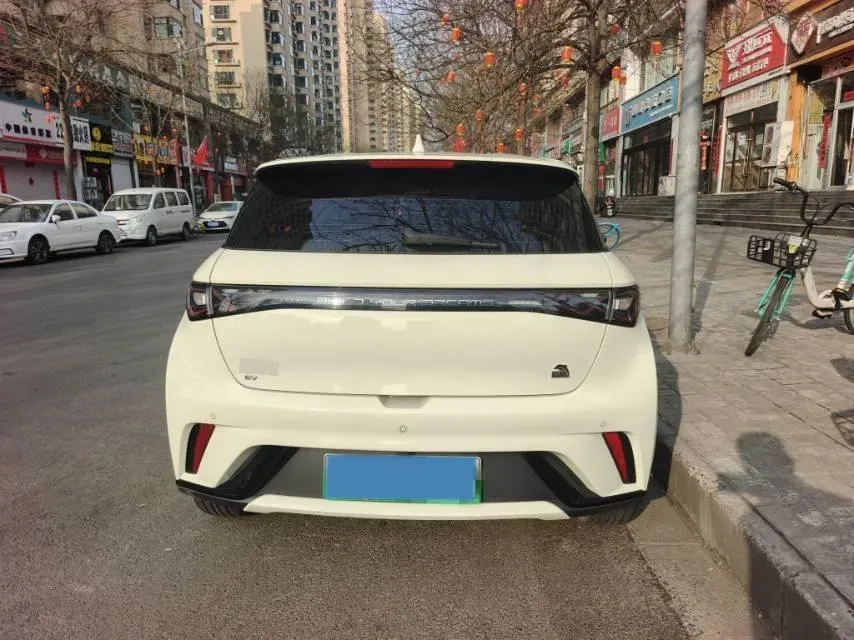 2023 BYD Dolphin BEV 44.928KWH,autocango,china used car exporter,china ev exporter,chinese used car exporter,chinese used ev exporter