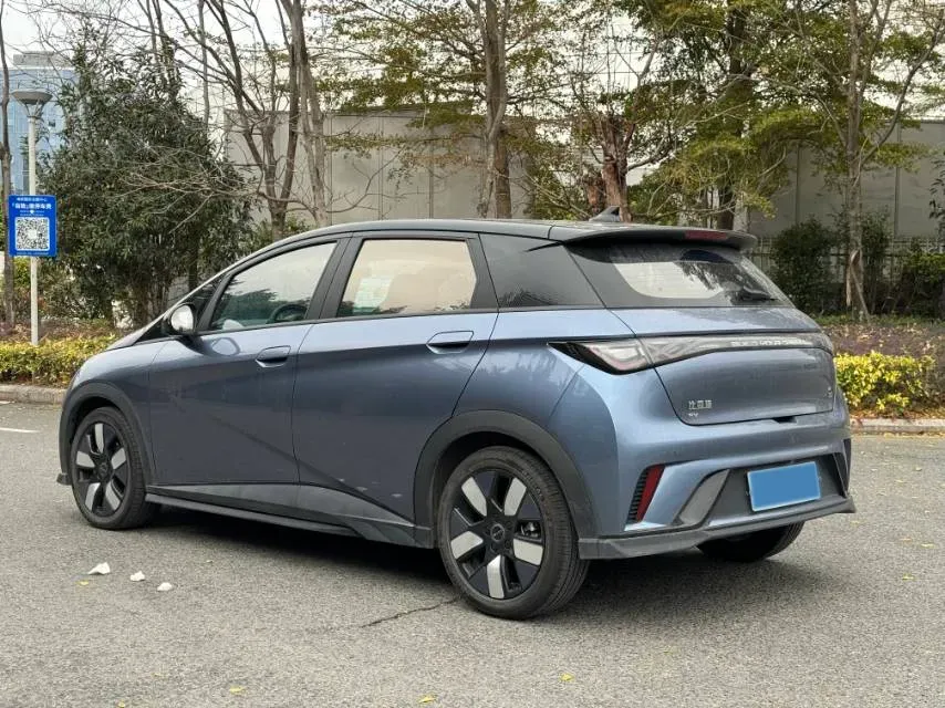 2023 BYD Dolphin BEV 44.928KWH,autocango,china used car exporter,china ev exporter,chinese used car exporter,chinese used ev exporter
