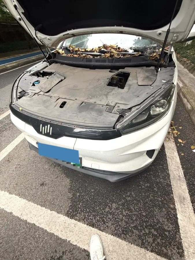 2021 Weltmeister EX5 BEV 52.704KWH,autocango,china used car exporter,china ev exporter,chinese used car exporter,chinese used ev exporter