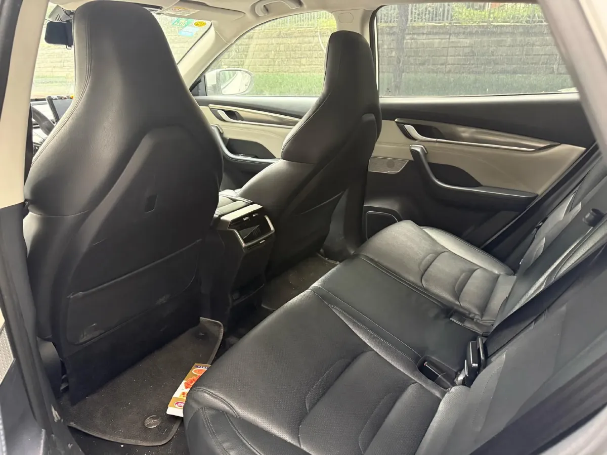 2021 Weltmeister EX5 BEV 52.704KWH,autocango,china used car exporter,china ev exporter,chinese used car exporter,chinese used ev exporter