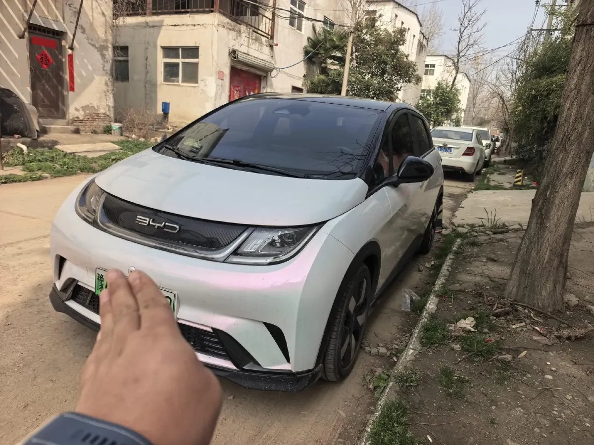 2023 BYD Dolphin BEV 44.928KWH,autocango,china used car exporter,china ev exporter,chinese used car exporter,chinese used ev exporter