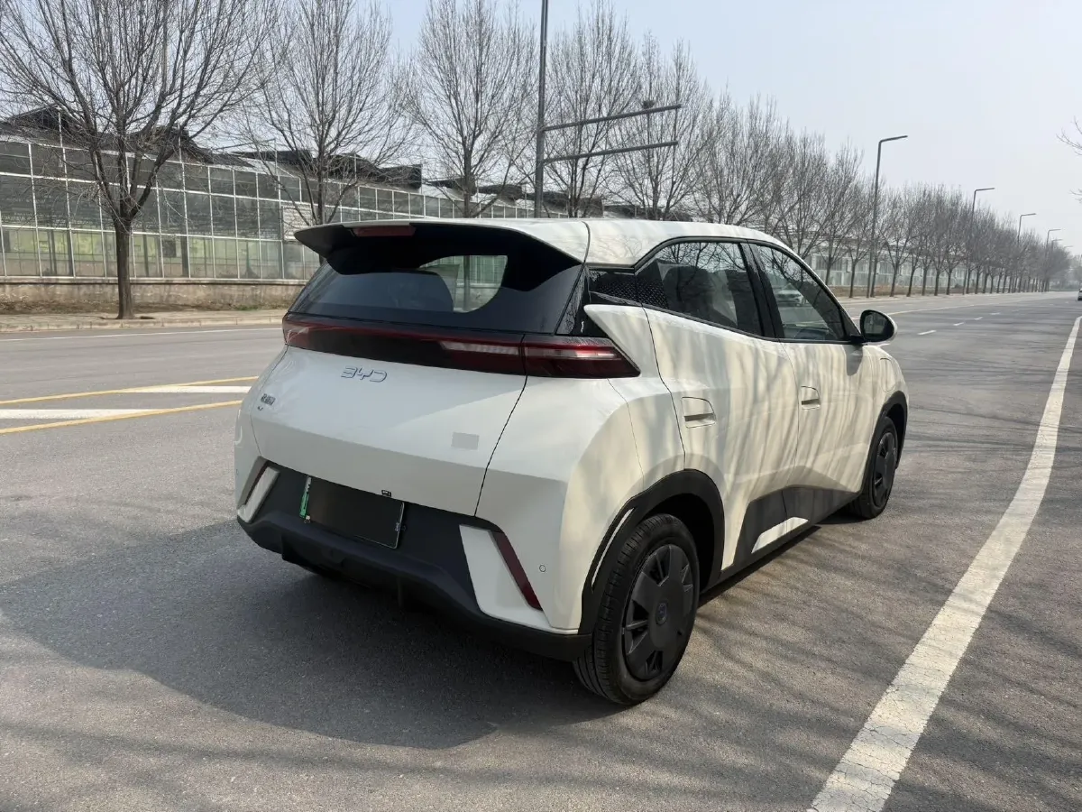 2024 BYD Seagull BEV 30.08KWH,autocango,china used car exporter,china ev exporter,chinese used car exporter,chinese used ev exporter