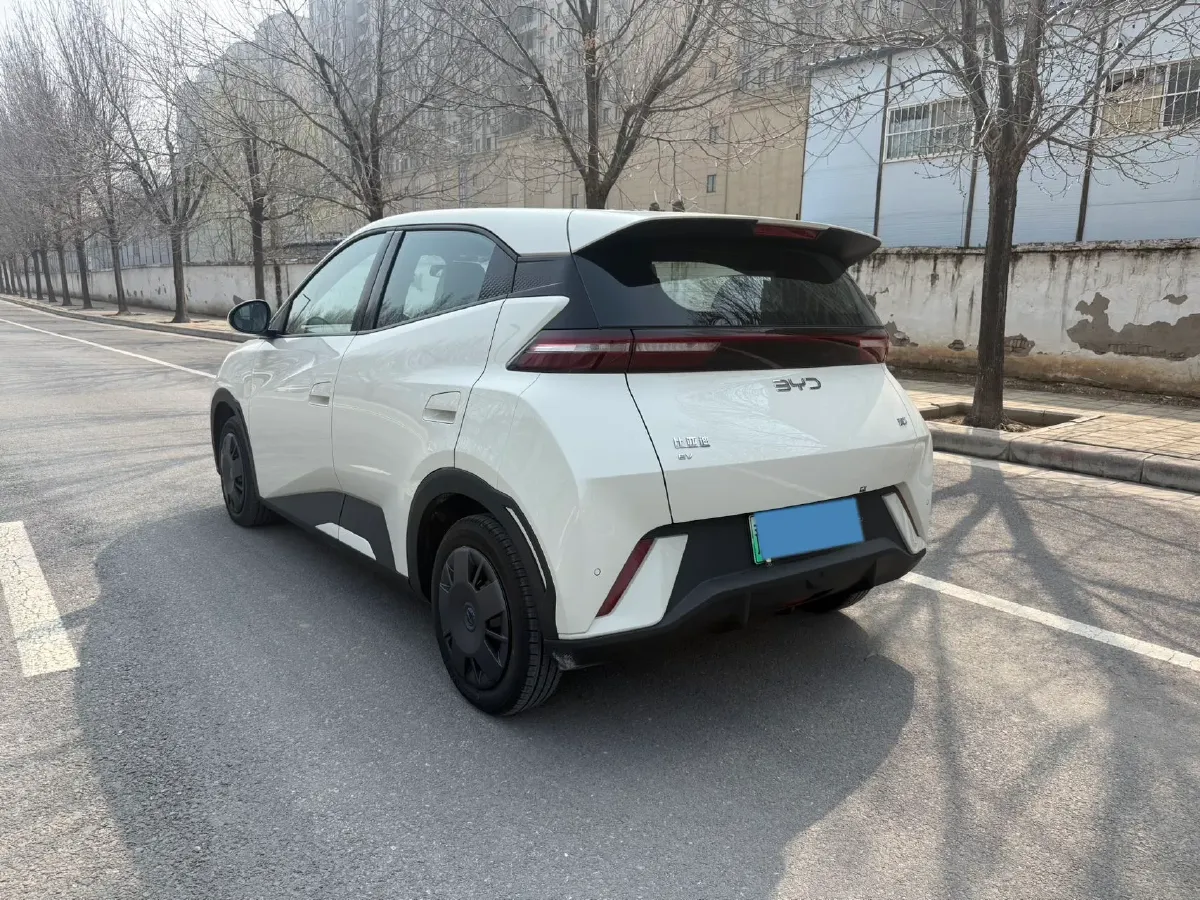 2024 BYD Seagull BEV 30.08KWH,autocango,china used car exporter,china ev exporter,chinese used car exporter,chinese used ev exporter