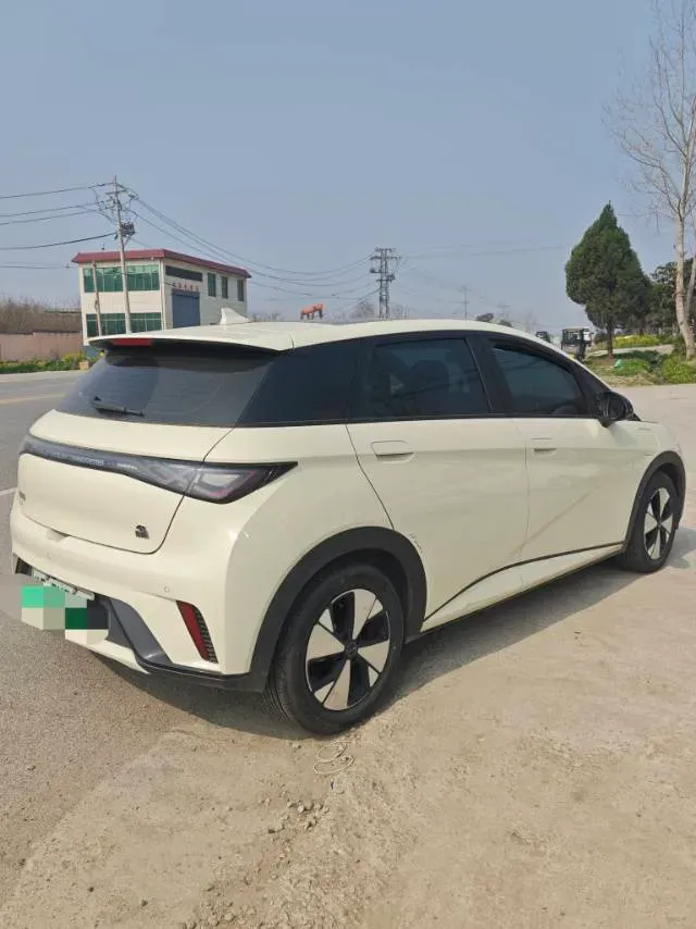 2023 BYD Dolphin BEV 44.928KWH,autocango,china used car exporter,china ev exporter,chinese used car exporter,chinese used ev exporter