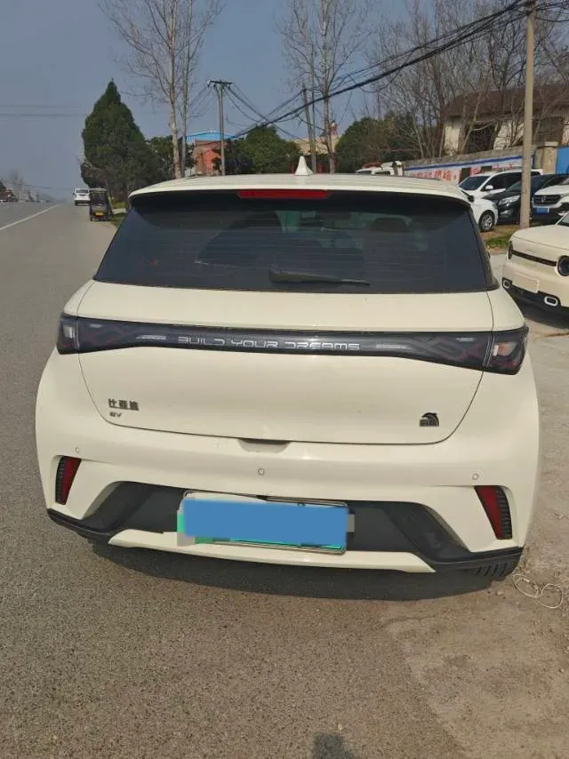 2023 BYD Dolphin BEV 44.928KWH,autocango,china used car exporter,china ev exporter,chinese used car exporter,chinese used ev exporter