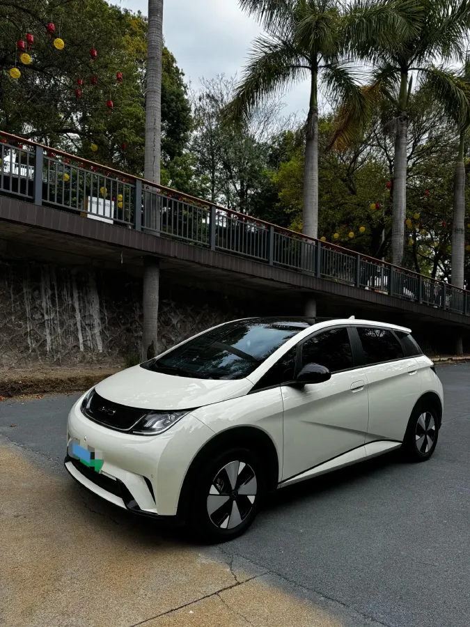 2023 BYD Dolphin BEV 44.928KWH,autocango,china used car exporter,china ev exporter,chinese used car exporter,chinese used ev exporter