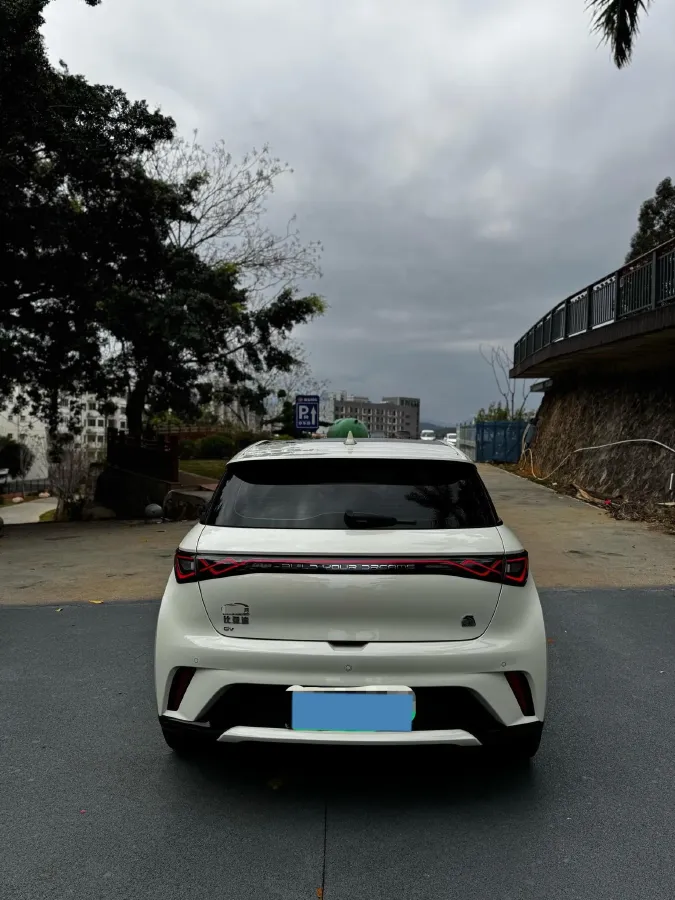 2023 BYD Dolphin BEV 44.928KWH,autocango,china used car exporter,china ev exporter,chinese used car exporter,chinese used ev exporter