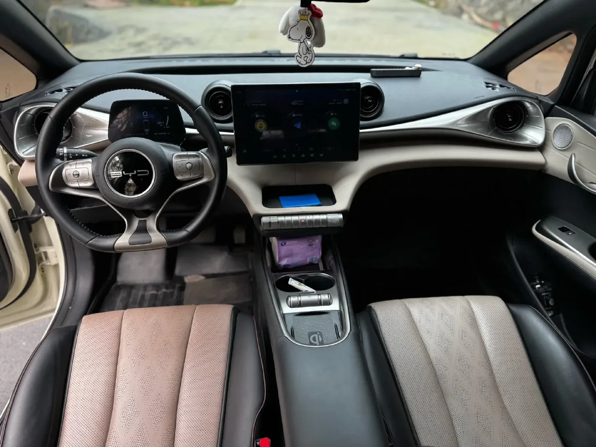 2023 BYD Dolphin BEV 44.928KWH,autocango,china used car exporter,china ev exporter,chinese used car exporter,chinese used ev exporter