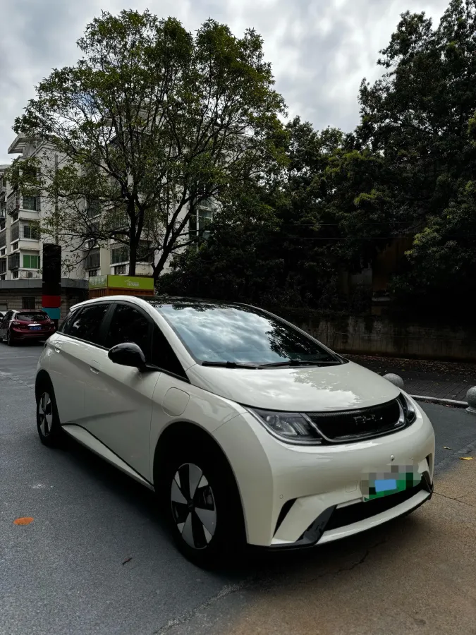 2023 BYD Dolphin BEV 44.928KWH,autocango,china used car exporter,china ev exporter,chinese used car exporter,chinese used ev exporter