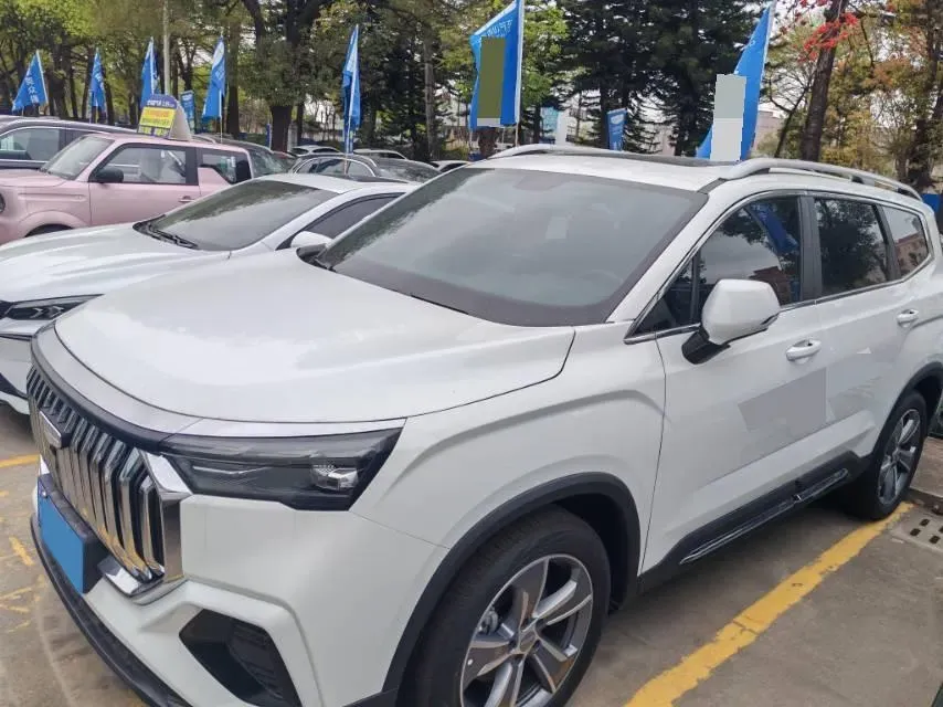 2025 Geely Okavango L 2.0T 218HP L4 7DCT,autocango,china used car exporter,china ev exporter,chinese used car exporter,chinese used ev exporter