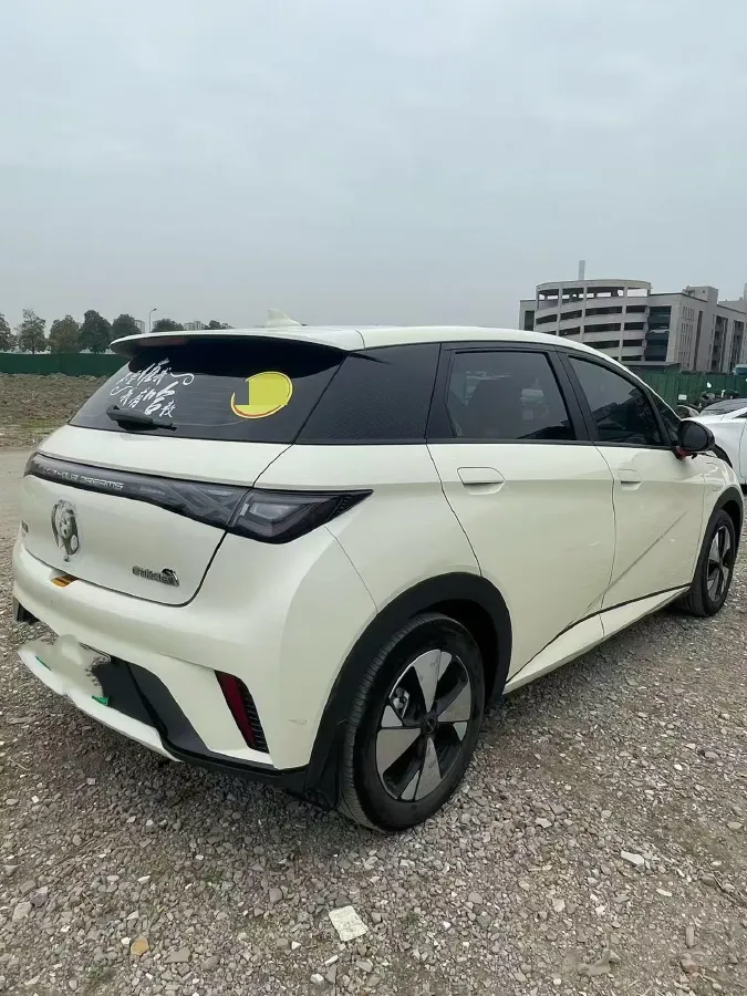 2023 BYD Dolphin BEV 44.928KWH,autocango,china used car exporter,china ev exporter,chinese used car exporter,chinese used ev exporter