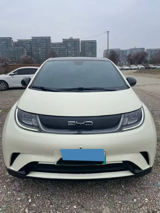 2023 BYD Dolphin BEV 44.928KWH,autocango,china used car exporter,china ev exporter,chinese used car exporter,chinese used ev exporter