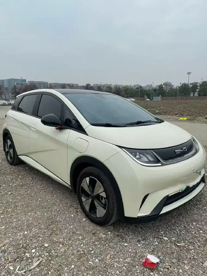 2023 BYD Dolphin BEV 44.928KWH,autocango,china used car exporter,china ev exporter,chinese used car exporter,chinese used ev exporter