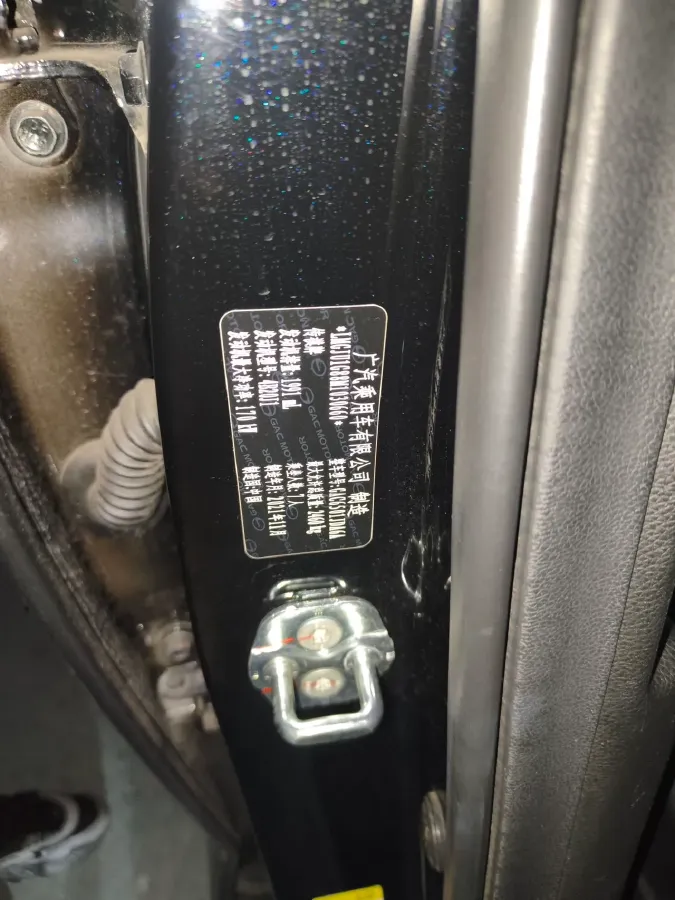 2022 GAC Trumpchi GS8 2.0T 252HP L4 8AT,autocango,china used car exporter,china ev exporter,chinese used car exporter,chinese used ev exporter