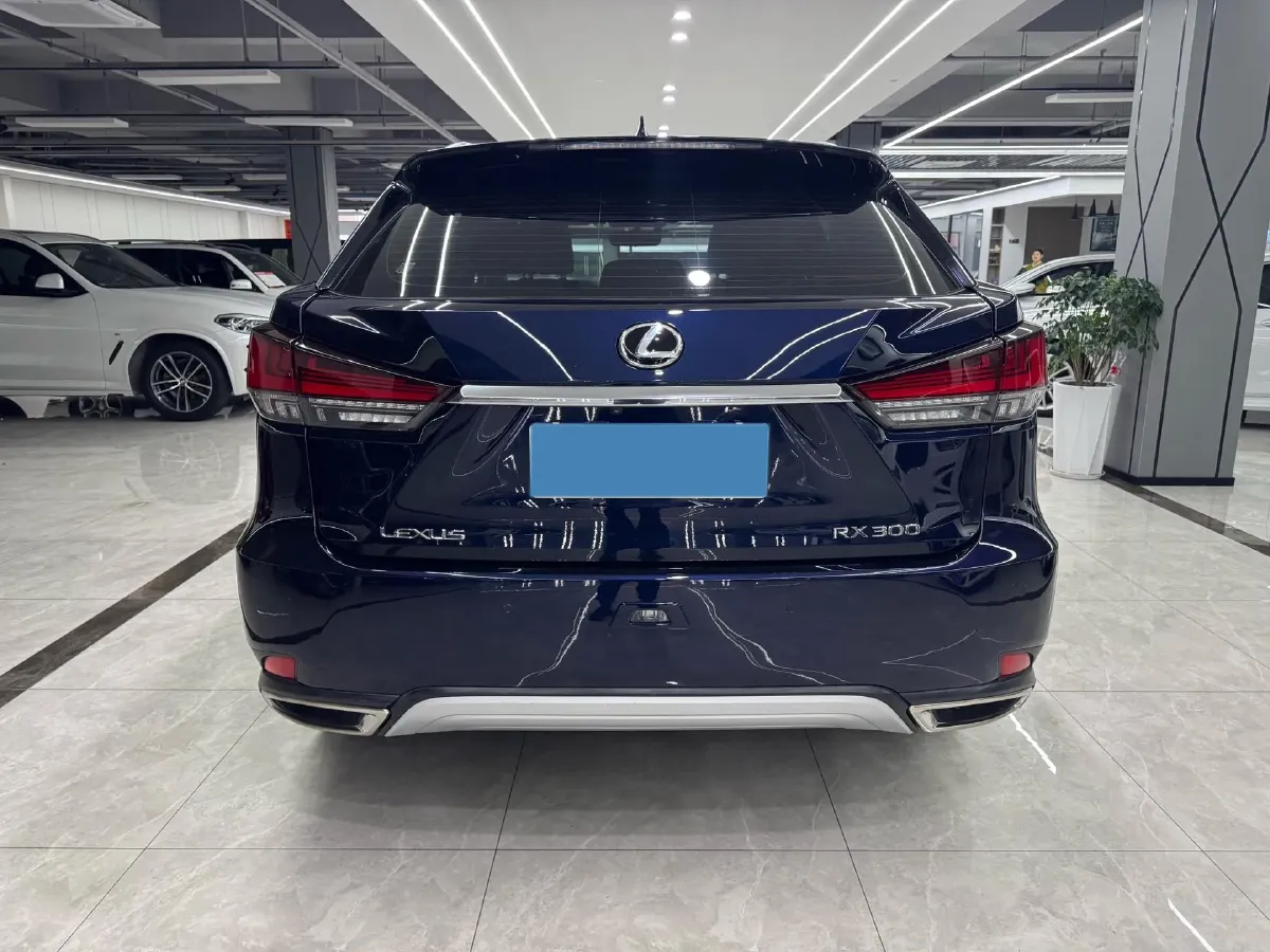 2020 Lexus RX 2.0T 238HP L4 6AT,autocango,china used car exporter,china ev exporter,chinese used car exporter,chinese used ev exporter