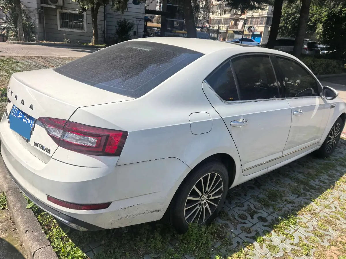 2019 Skoda Octavia 1.5L 116HP L4 6AT,autocango,china used car exporter,china ev exporter,chinese used car exporter,chinese used ev exporter