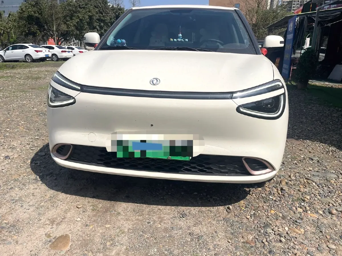 2024 DongFeng eπ 01 BEV 31.45KWH,autocango,china used car exporter,china ev exporter,chinese used car exporter,chinese used ev exporter