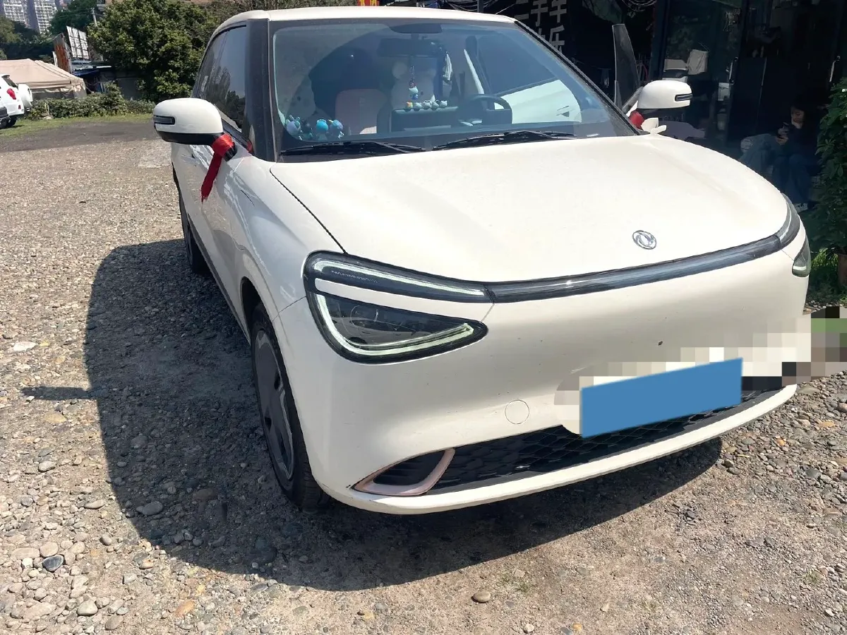 2024 DongFeng eπ 01 BEV 31.45KWH,autocango,china used car exporter,china ev exporter,chinese used car exporter,chinese used ev exporter