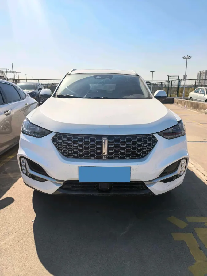 2021 WEY VV6 2.0T 227HP L4 7DCT,autocango,china used car exporter,china ev exporter,chinese used car exporter,chinese used ev exporter