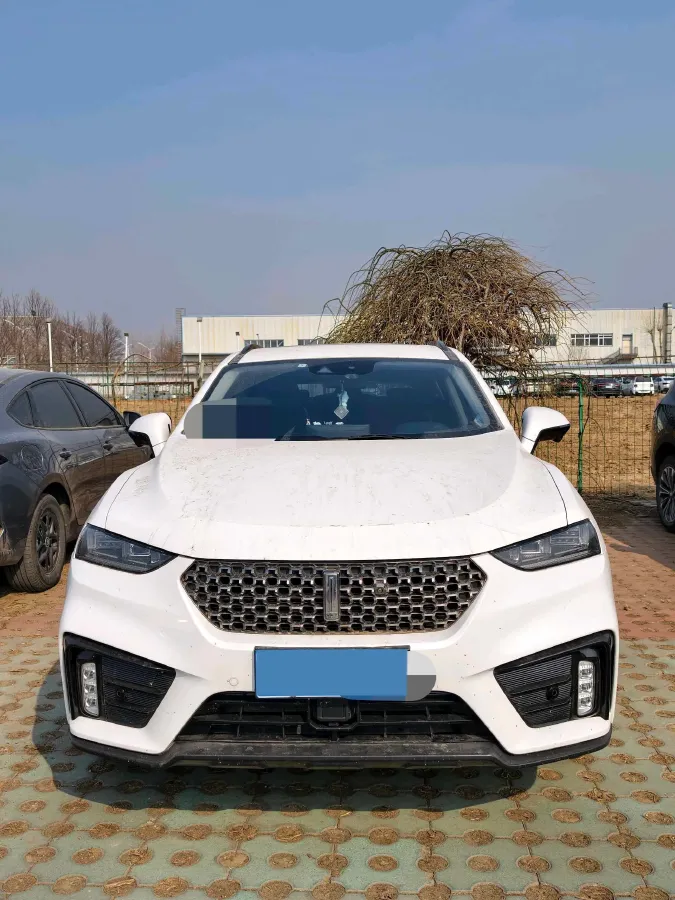 2020 WEY VV7 2.0T 227HP L4 7DCT,autocango,china used car exporter,china ev exporter,chinese used car exporter,chinese used ev exporter