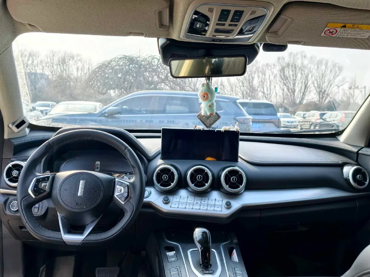 2020 WEY VV7 2.0T 227HP L4 7DCT,autocango,china used car exporter,china ev exporter,chinese used car exporter,chinese used ev exporter