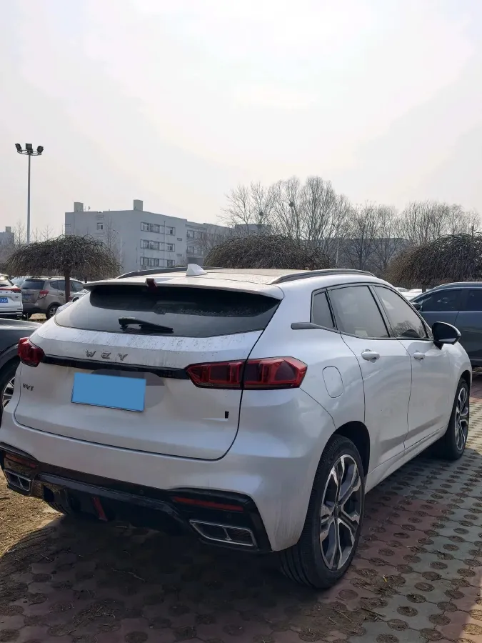 2020 WEY VV7 2.0T 227HP L4 7DCT,autocango,china used car exporter,china ev exporter,chinese used car exporter,chinese used ev exporter