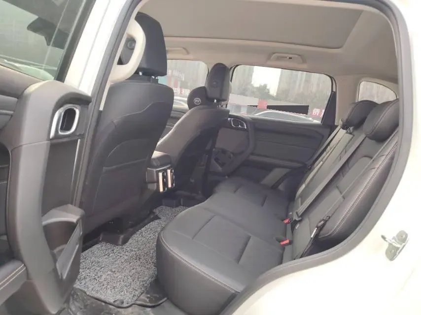 2024 Haval Dargo 2.0T 238HP L4 9DCT,autocango,china used car exporter,china ev exporter,chinese used car exporter,chinese used ev exporter