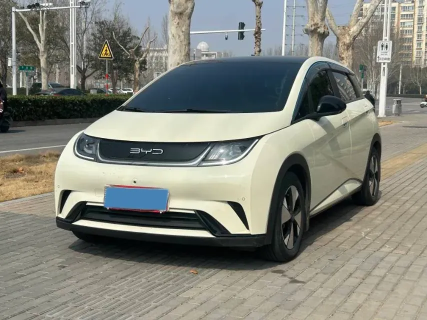 2023 BYD Dolphin BEV 44.928KWH,autocango,china used car exporter,china ev exporter,chinese used car exporter,chinese used ev exporter