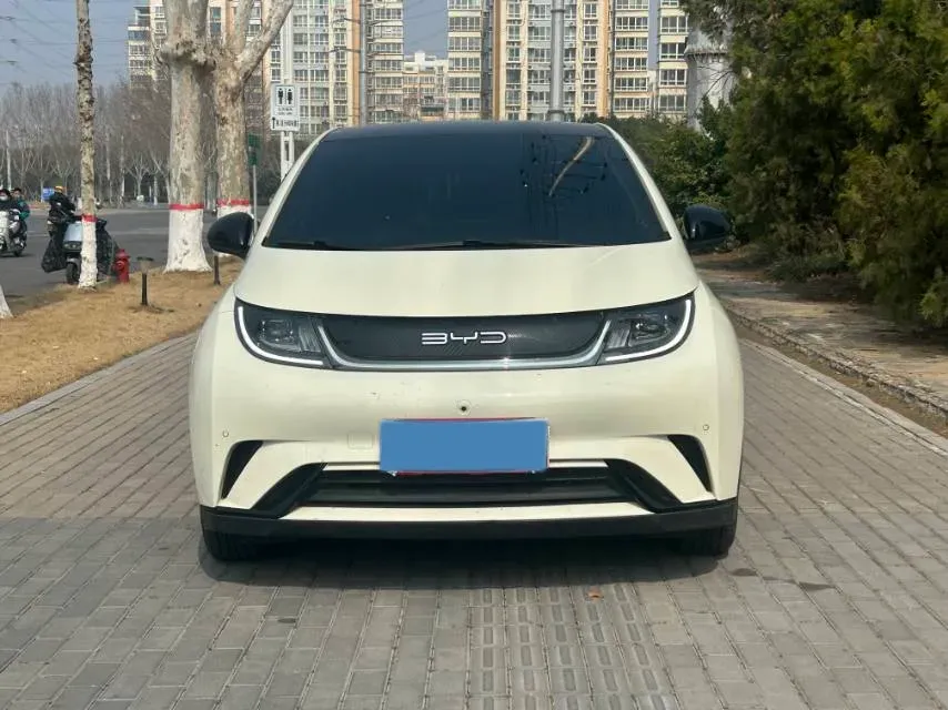 2023 BYD Dolphin BEV 44.928KWH,autocango,china used car exporter,china ev exporter,chinese used car exporter,chinese used ev exporter